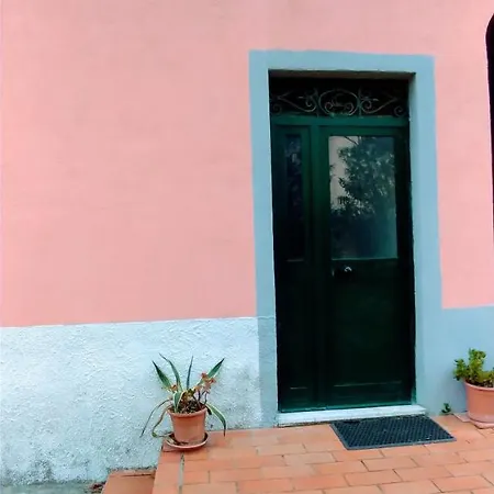 Giallo * ريو مارينا